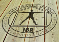 baubiologisch empfohlener Schutz f&uuml;r Holz